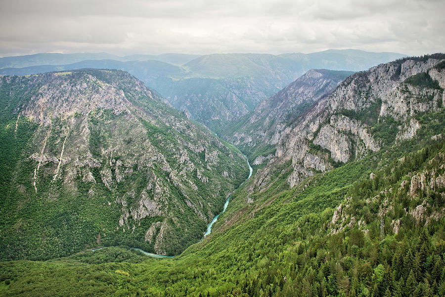 View Of The Tara River Canyon In Durmitor National Park, Zabljak, Montenegro, Western Balkan, Europe #1 Photograph by Gnther Bayerl