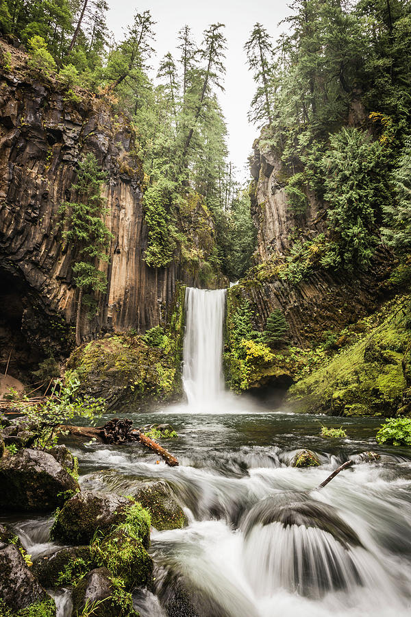 View Of Toketee Falls; Umpqua National Forest, Oregon, Usa Digital Art ...