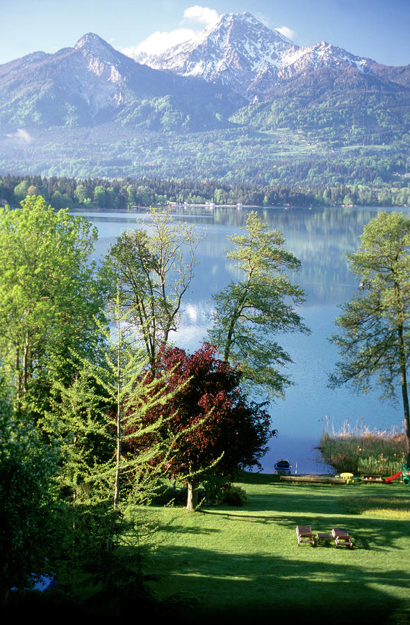 View Of Tree, Grass, River And Mountains In Worthersee, Austria #1 Photograph by Jalag / Matteo Manduzio