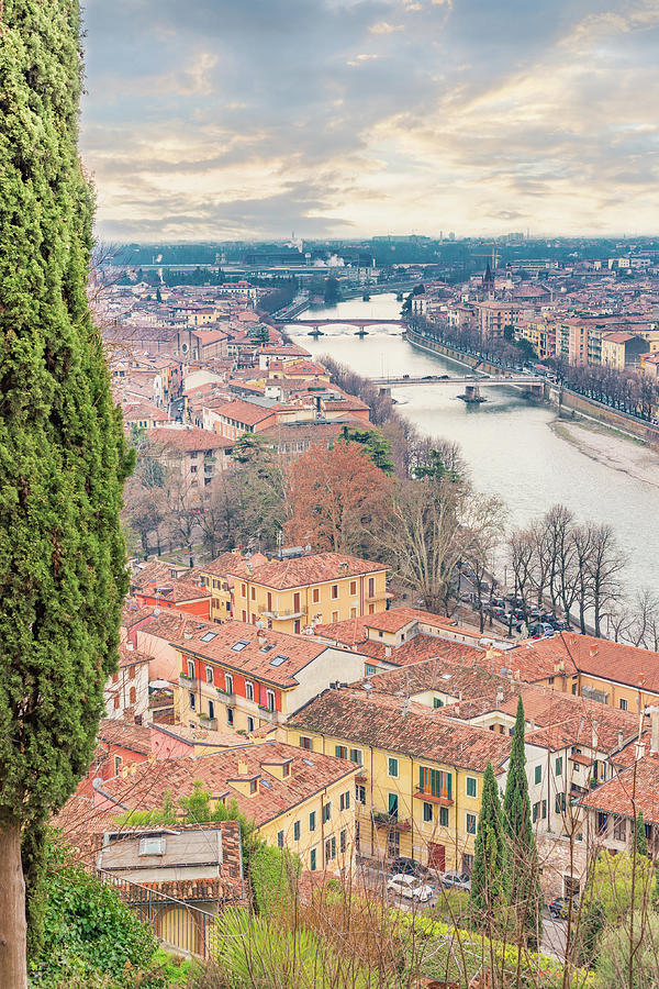 View of Verona #1 Photograph by Vivida Photo PC