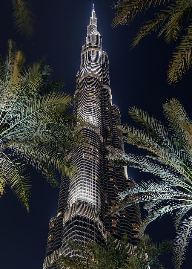 View Through The Palm Trees To The Top Of The Illuminated Burj Khalifa ...