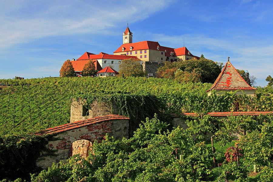 Vineyard & Castle, Styria, Austria #1 Digital Art by Gunter Grafenhain