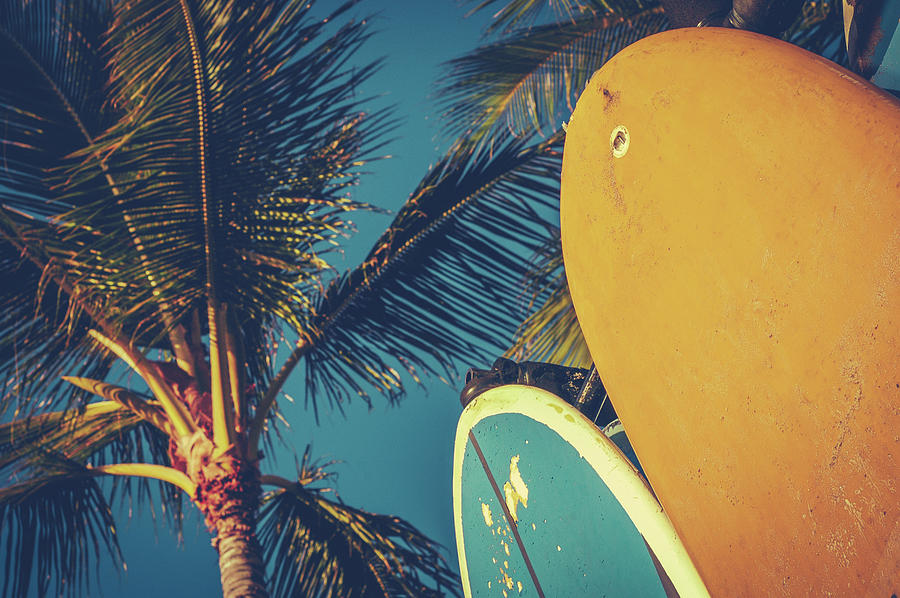 Vintage Surfboards And Palms Photograph