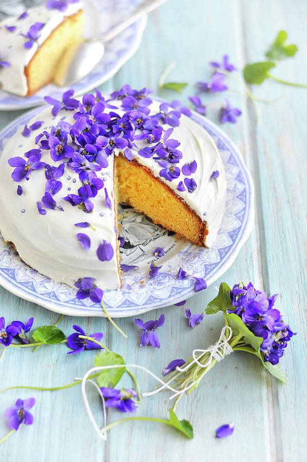 Violet Cake #1 Photograph by Keroudan