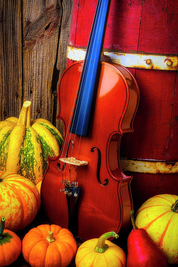 Violin And Autumn Pumpkins #1 Photograph by Garry Gay