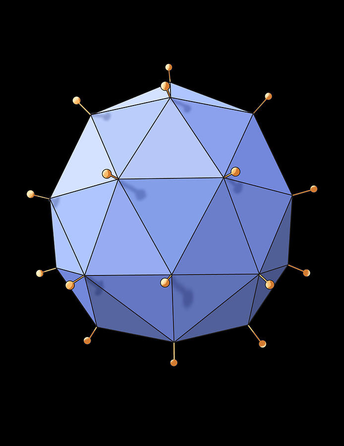 Virus Shape, Helical, Illustration Photograph by Monica Schroeder Pixels
