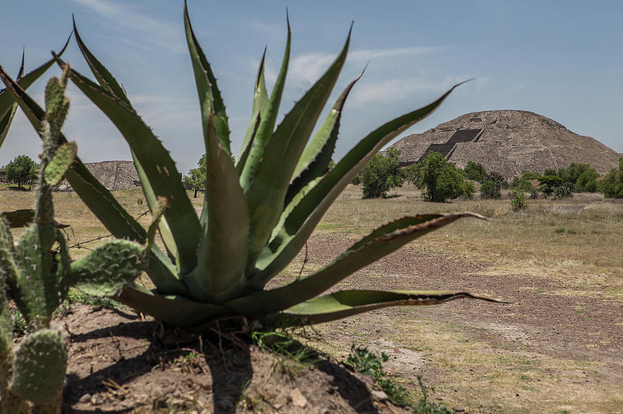 Visiting the historic pyramids near Mexico city by Kim Vermaat Visiting the historic pyramids near Mexico city by Kim Vermaat
