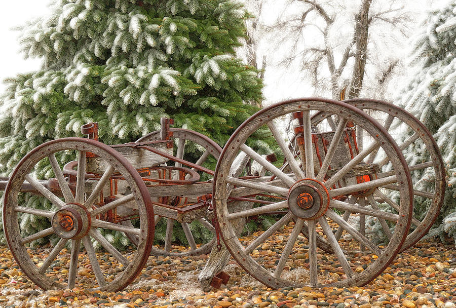 Winter Photograph - Wagon In Winter #1 by Amanda Smith