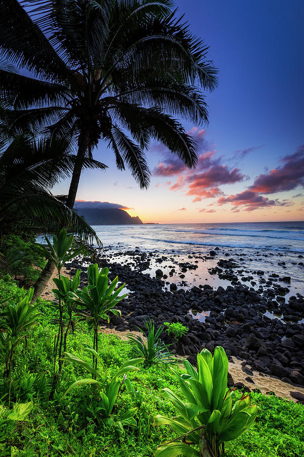 Where the Jungle Meets the Sea: A Journey Through Wailua River State Park