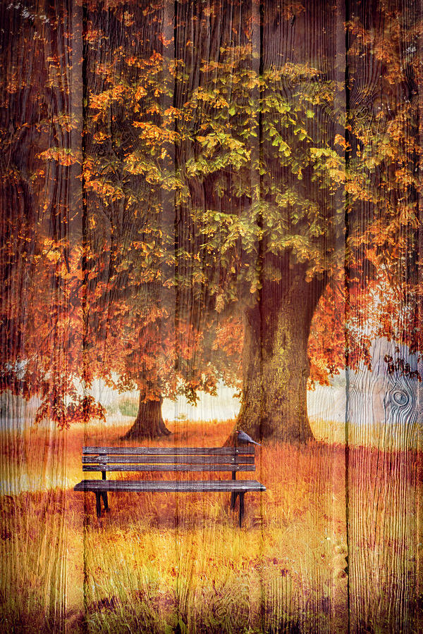 Waiting for You in Autumn in Wood Textures Photograph by Debra and Dave Vanderlaan