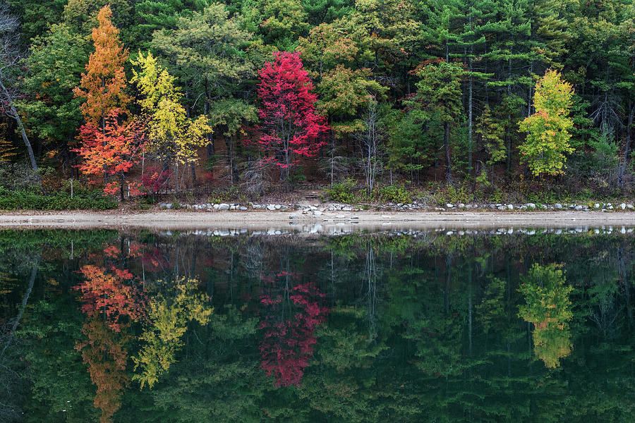 Walden Pond Fall Foliage Concord MA Reflection Trees #1 Photograph by Toby McGuire