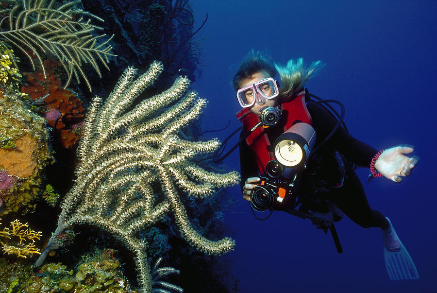 Beautiful Diver At 60 Feet Photograph