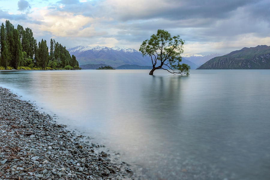 Wanaka - New Zealand #1 Photograph by Joana Kruse