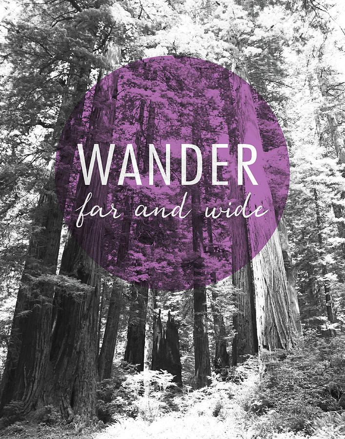 Black And White Photograph - Wander Far And Wide #1 by Laura Marshall