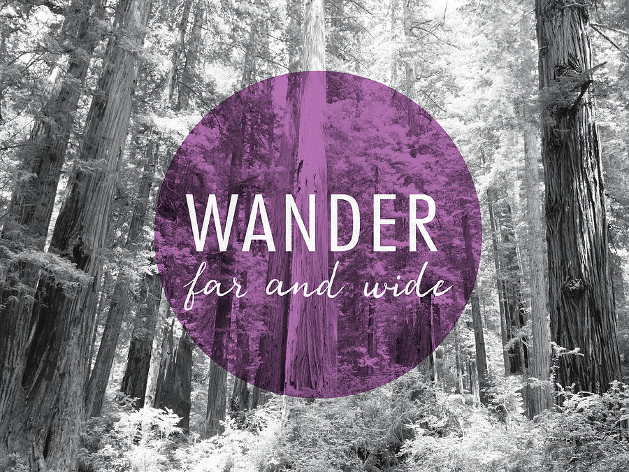 Black And White Painting - Wander Far And Wide V2 #1 by Laura Marshall