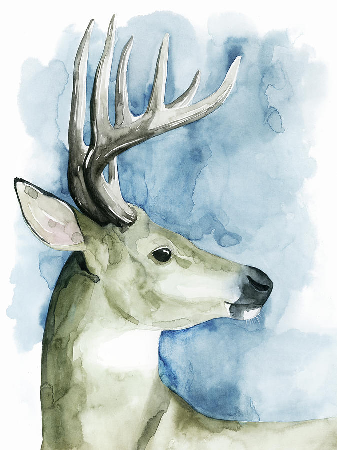 Animal Painting - Wandering Stag II #1 by Grace Popp