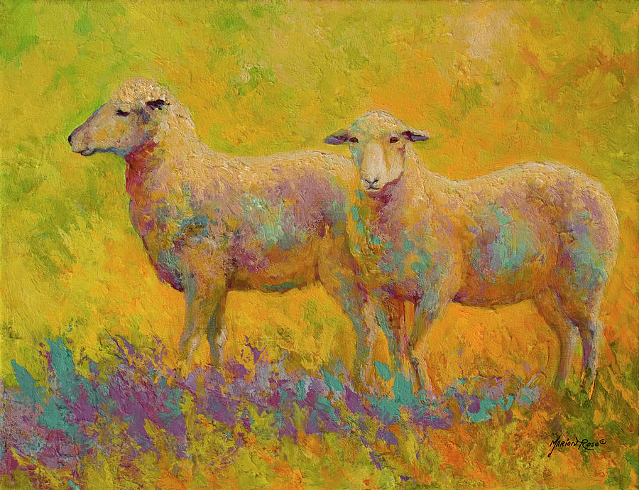 Animal Painting - Warm Glow Sheep Pair #1 by Marion Rose