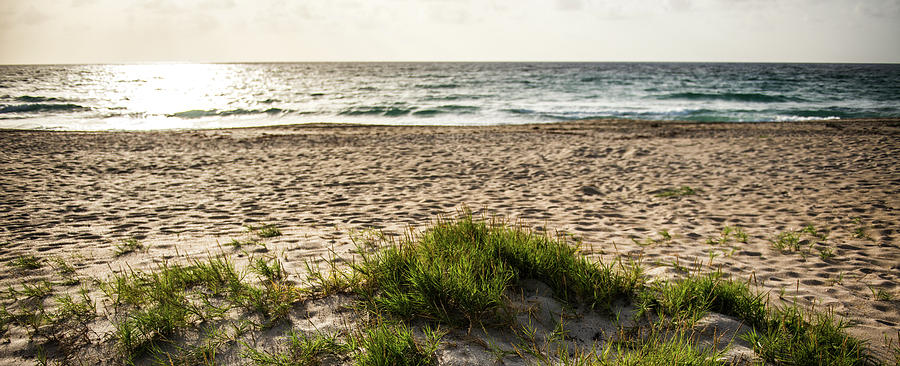 Beach Photograph - Warm Sunny Days #1 by Bill Carson Photography