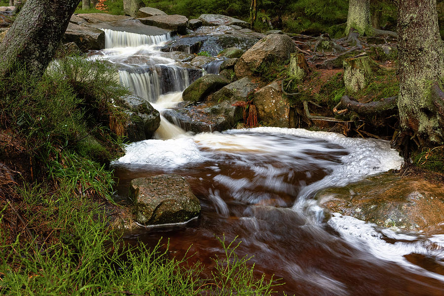 Warme Bode, Harz #1 Photograph by Andreas Levi