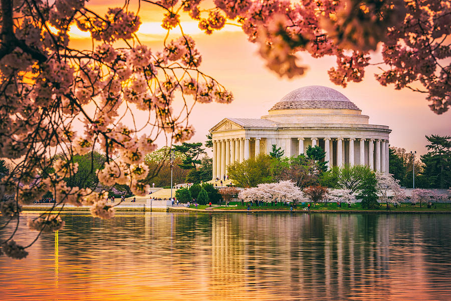 Spring Photograph - Washington, Dc At The Jefferson #1 by Sean Pavone