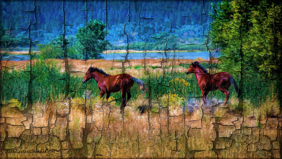 Washoe Lake Mustangs #1 Photograph by LeeAnn McLaneGoetz McLaneGoetzStudioLLCcom