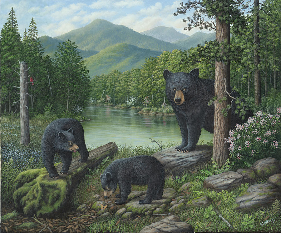 Bear Photograph - Watching The Cubs Play #1 by Robert Wavra