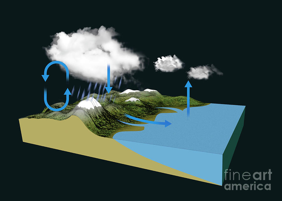Water Cycle #1 Photograph by Tim Brown/science Photo Library