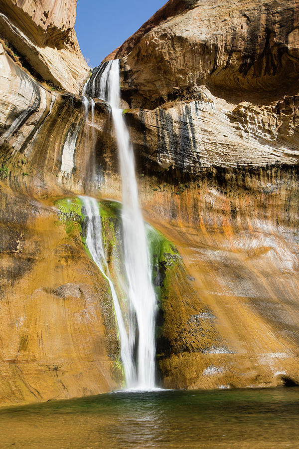 Water Falling From Rocks, Zion National Photograph by Panoramic Images ...