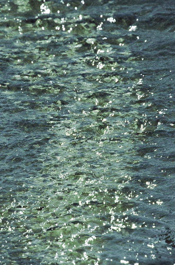 Water #1 Photograph by John Foxx