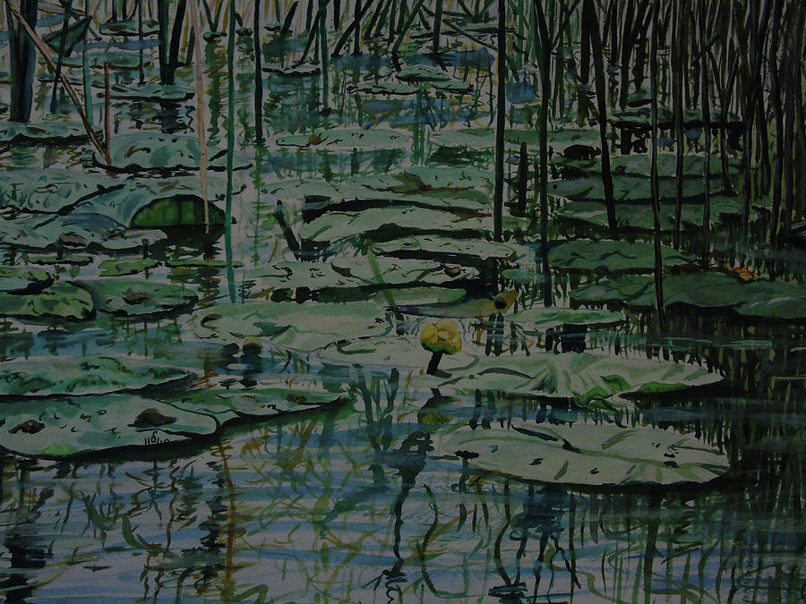 Water Lilly by Maria Woithofer Water Lilly by Maria Woithofer