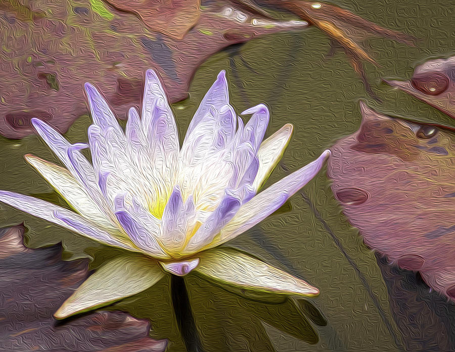 Water Lily #1 Painting by Aaron Geraud