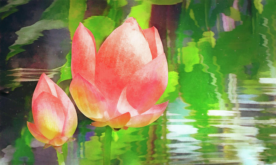Water Lotus #1 Digital Art by Frances Miller