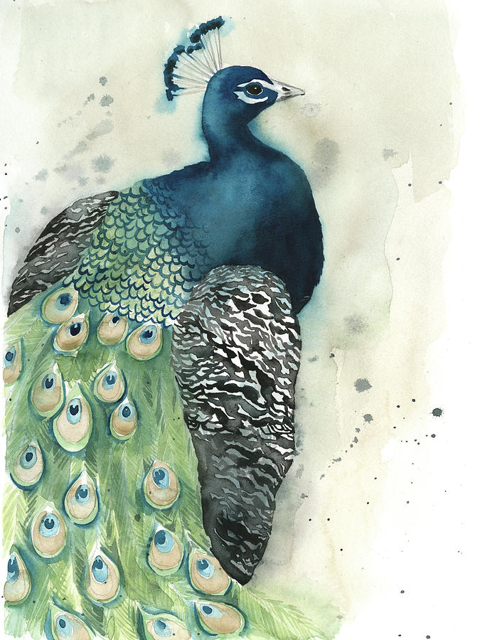 Watercolor Peacock Portrait I #1 Painting by Grace Popp