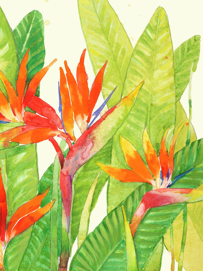 Watercolor Tropical Flowers Iv #1 Painting by Tim Otoole