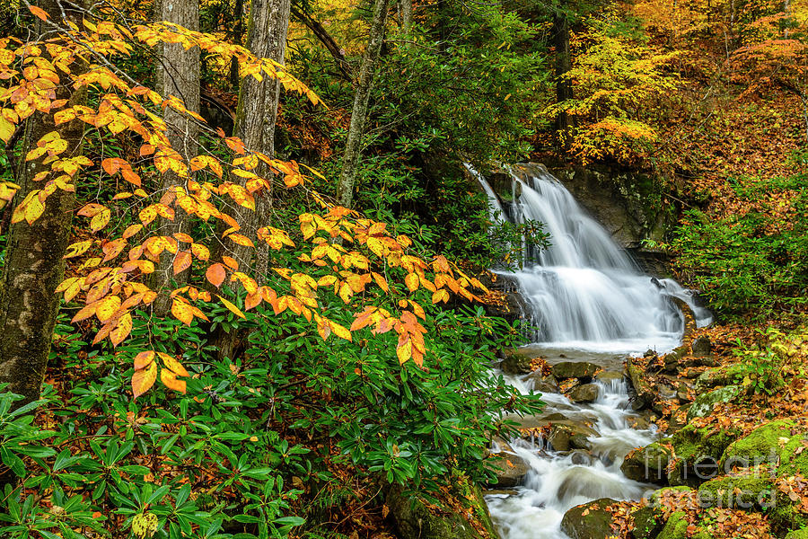 Waterfall and Fall Color #1 Photograph by Thomas R Fletcher