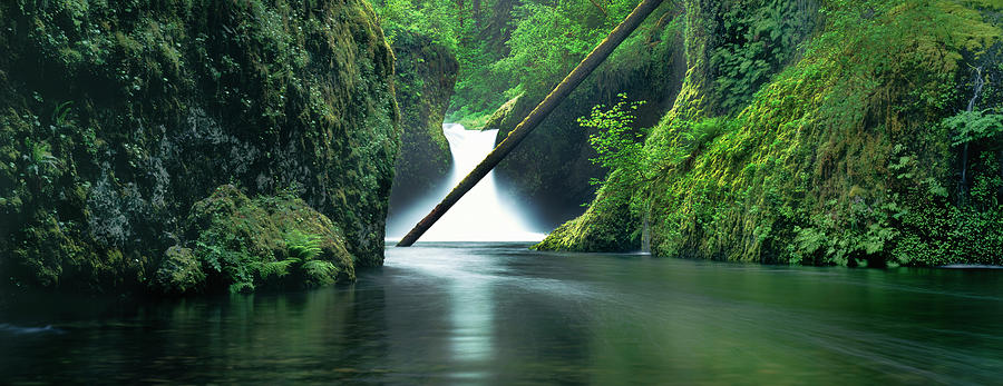 Waterfall In A Forest, Punch Bowl #1 Photograph by Panoramic Images
