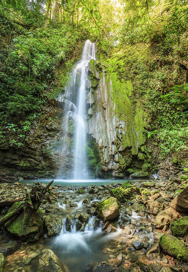 Waterfall in Corcovado National Park #2 Photograph by Alexey Stiop
