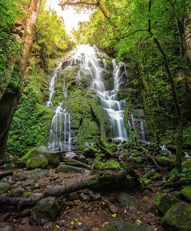 Waterfall In Tropical Forest Photograph