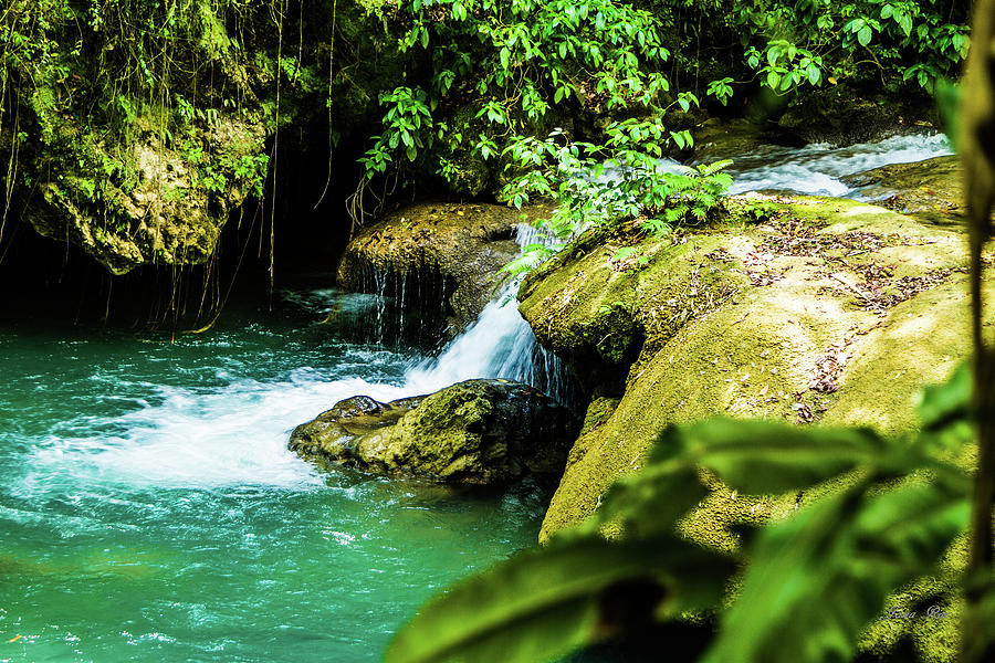 Waterfalls in Jamaica IMG 6069 #1 Photograph by Jana Rosenkranz