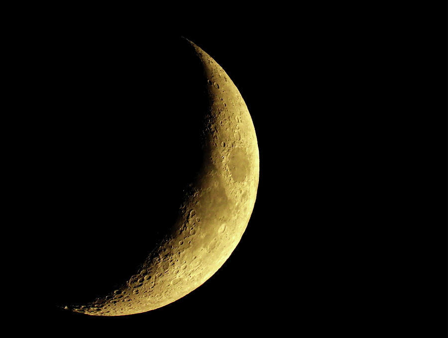 Space Pyrography - Waxing Crescent Moon #1 by Todd Heckert