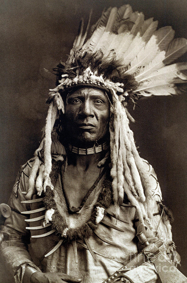 Weasel Tail Photograph by Edward Sheriff Curtis