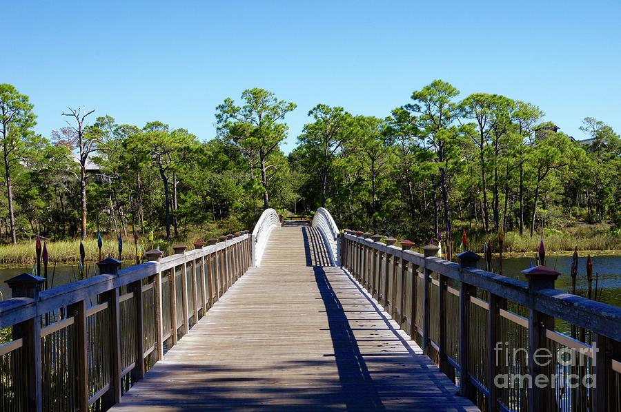 Watercolor Photograph - Western Lake Bridge by Megan Cohen Watercolor Photograph - Western Lake Bridge by Megan Cohen