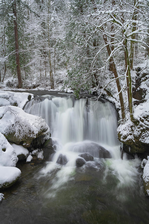 Winter Photograph - Whatcom Falls After Fresh Dusting #1 by Alan Majchrowicz