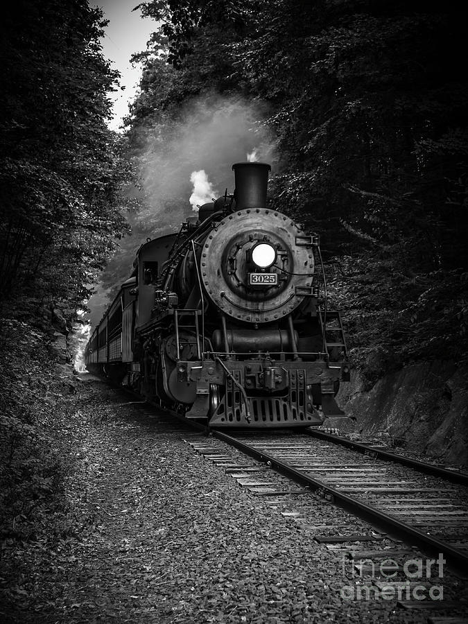 Vintage Photograph - Whistle Through The Forest #1 by Edward Fielding