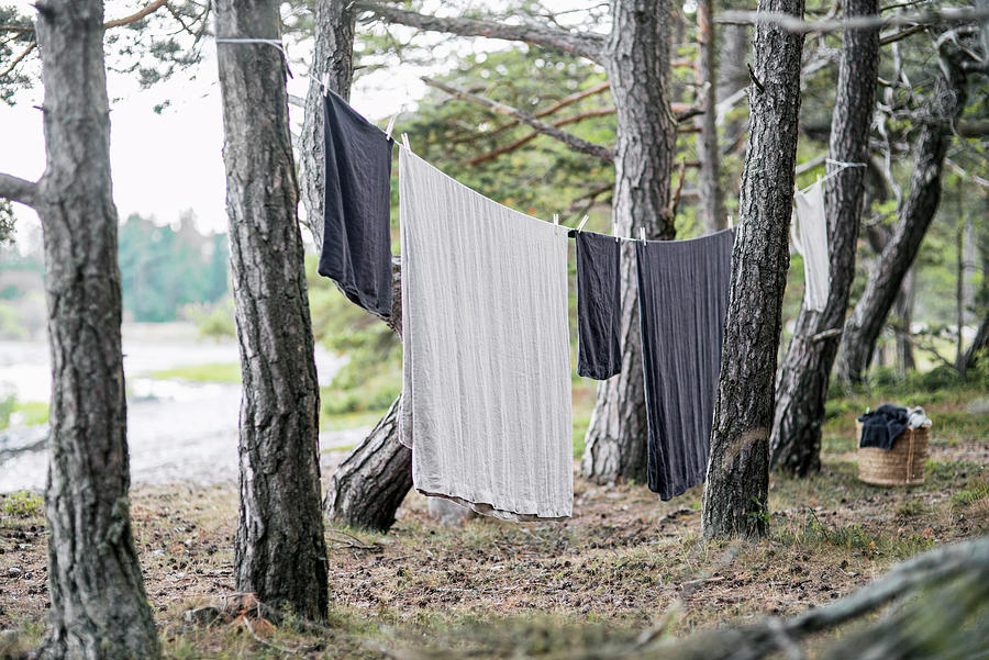 White And Blue Laundry Hung On Washing Line Strung Between Trees #1 Photograph by Magdalena Bjrnsdotter