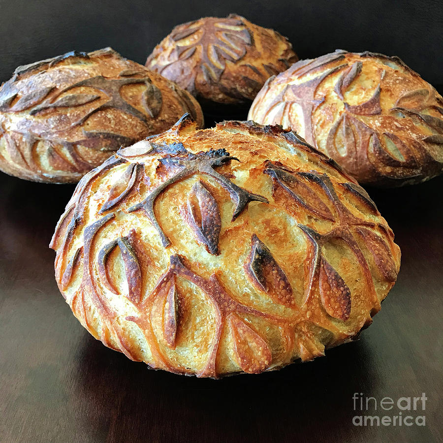 White and Rye Sourdough with Leaf Motif 2 Photograph by Amy E Fraser