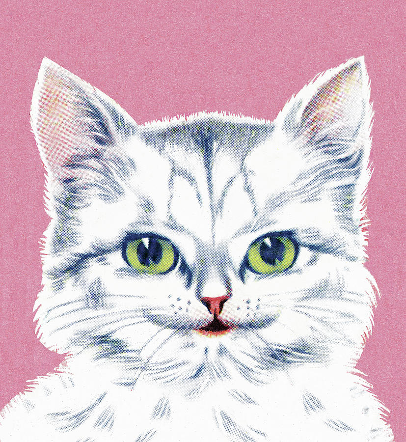 Vintage Drawing - White Cat #1 by CSA Images