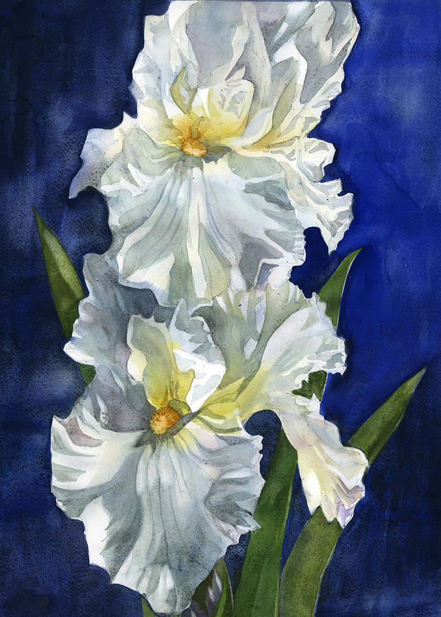 White Iris With Blue #1 Painting by Alfred Ng