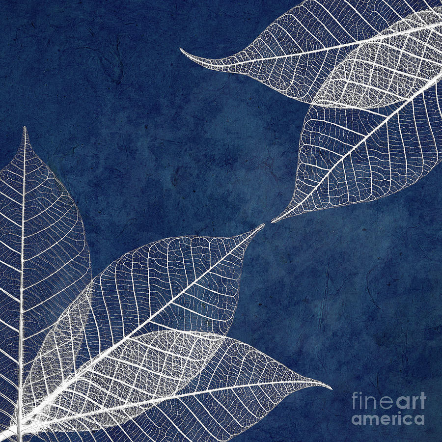 White leaves on blue Photograph by Delphimages Photo Creations
