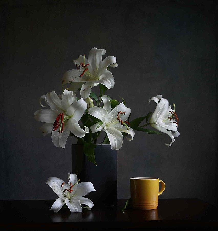 White Lily #1 Photograph by Fangping Zhou